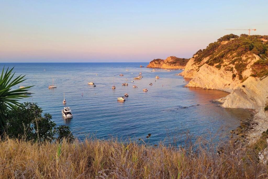 Javea Beach Blue House エクステリア 写真